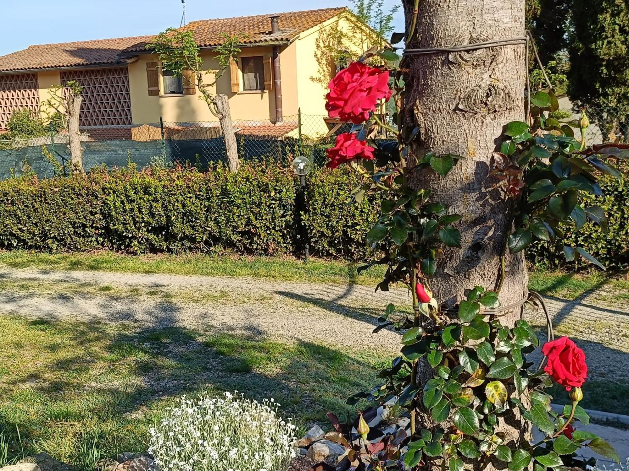 Villa Casa Orneto Poggibonsi Esterno foto