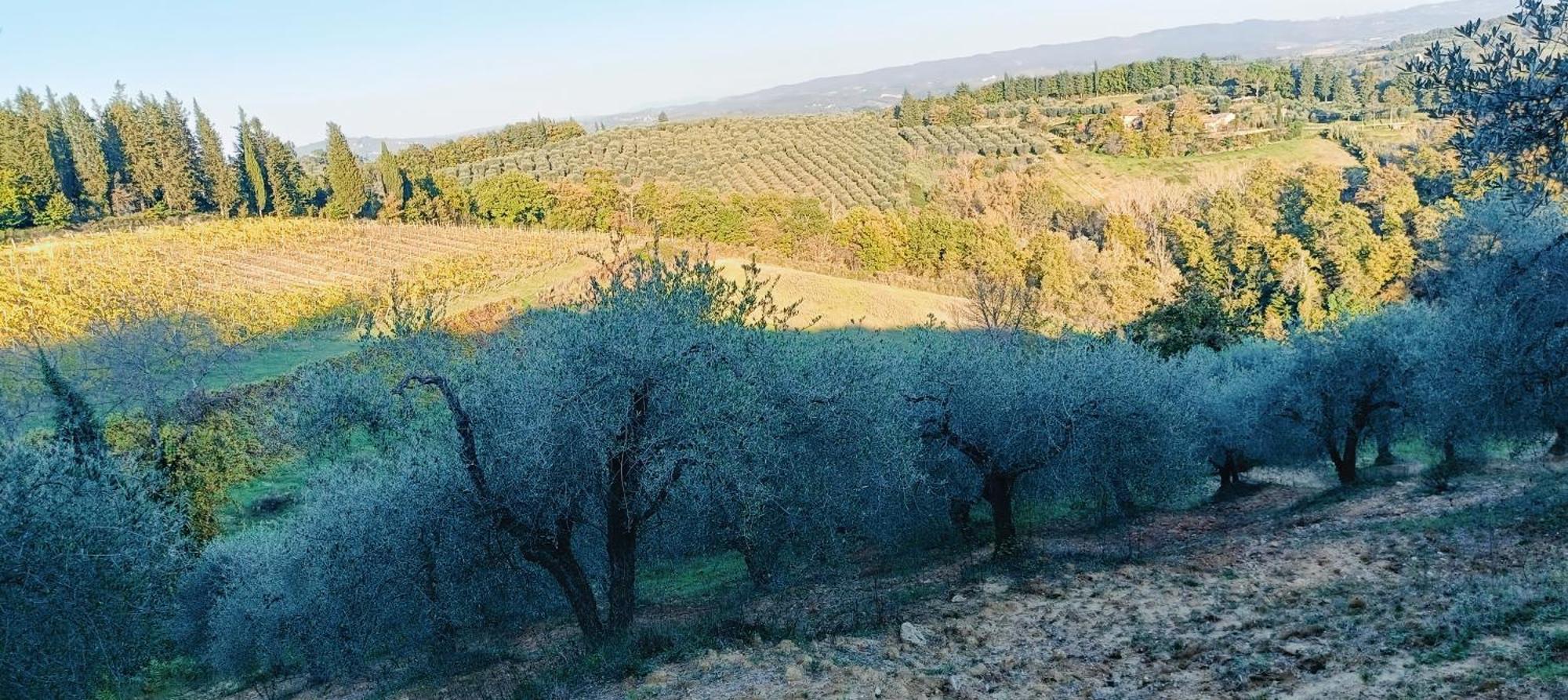 Villa Casa Orneto Poggibonsi Esterno foto