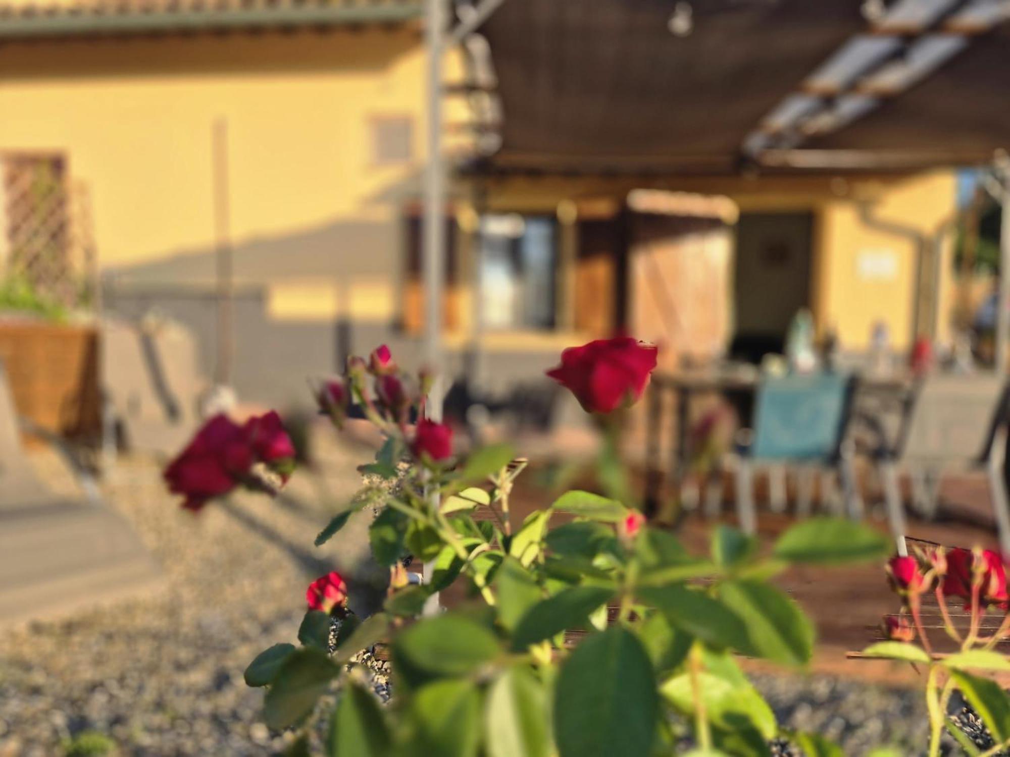 Villa Casa Orneto Poggibonsi Esterno foto